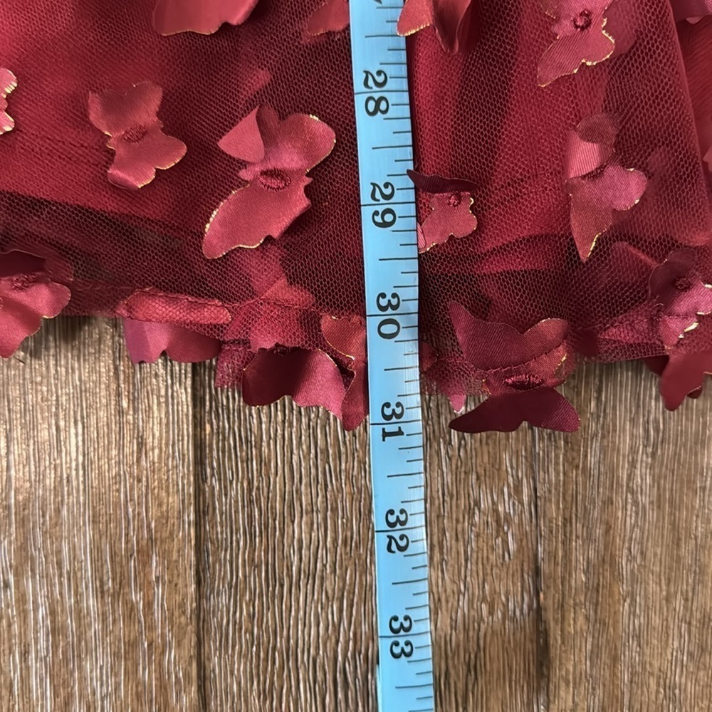 Thirty/Thirty Burgundy Butterfly Appliqué Mini Dress - Picture 10 of 10